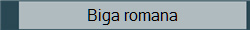 Biga romana