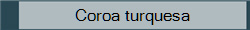 Coroa turquesa