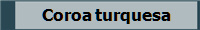 Coroa turquesa 